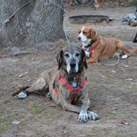 Suzanne Salgado Photo 9