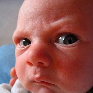 Steven Cagle Photo 18