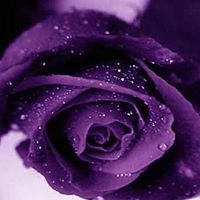 Meredith Skaggs Photo 1