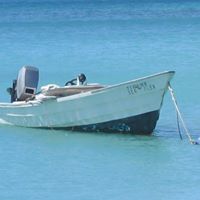 John Mccloud Photo 11