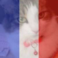 Vickie Reece Photo 7