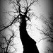 Marie Weir Photo 15