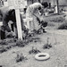 Roy Goodwin Photo 24