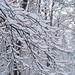 Kathie Winters Photo 11