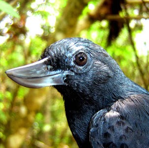 Julie Webber Photo 13