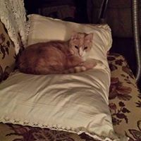 Kathleen Sudol Photo 5