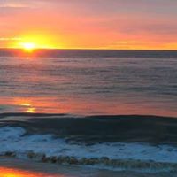 Renee Jacobsen Photo 26