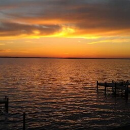 Michael Beam Photo 17