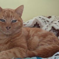 Janet Speight Photo 7