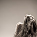 Carrie Sharp Photo 14