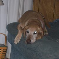 Janet Keyser Photo 3