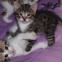 Christine Ruppert Photo 17