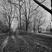 Jeffrey Dunkel Photo 4