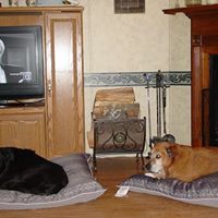 Linda Mitchell Photo 8