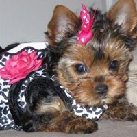 Erica Booker Photo 8