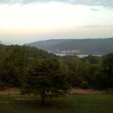 Sandy Curtis Photo 17