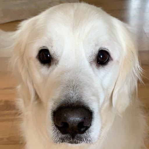 Nathan Barker Photo 36