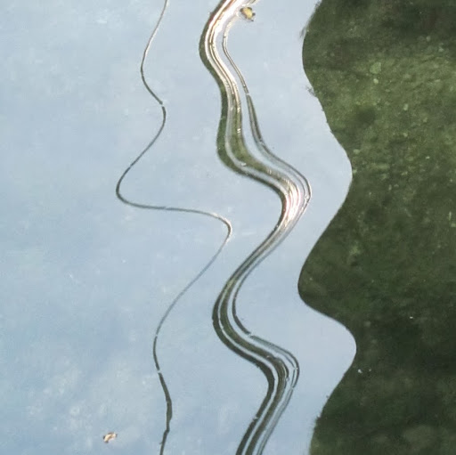 Frances Peterson Photo 2