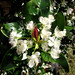 Eugenia Moss Photo 14