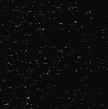 Fran Harrington Photo 26