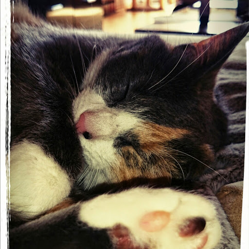 Jacqueline Kiefer Photo 1