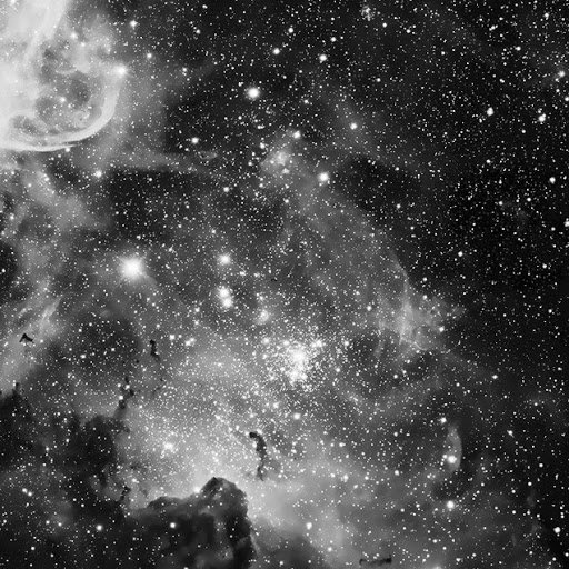 James Langton Photo 29