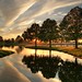 Andrew Parks Photo 14