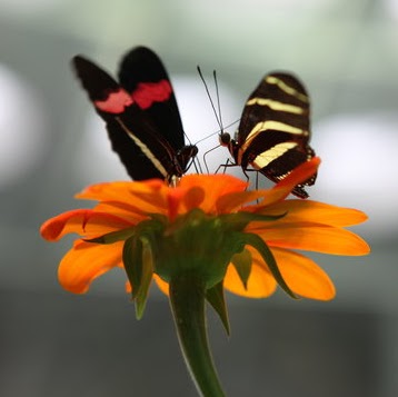 Martha Cooper Photo 27