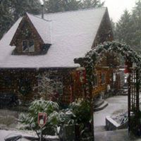 Debi Zimmerman Photo 13