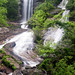 Cindy Pickens Photo 29