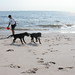 Sandy Champion Photo 14