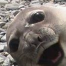 Laura Mcvey Photo 12