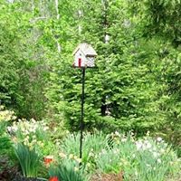 Suzanne Nolan Photo 37