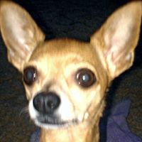 Julie Stanley Photo 9