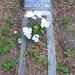 Agnes Brown Photo 28