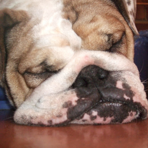 Fred Hawkins Photo 4 Fred Hawkins Photo 4