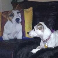 Sean Temple Photo 13