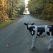 Tom Kain Photo 7