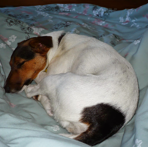 Mike Mather Photo 39