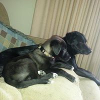 Karla Goodman Photo 11