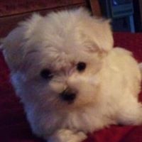 Paula Burris Photo 16