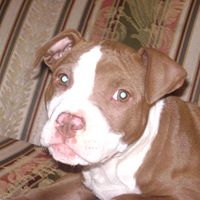 Felipe Torres Photo 6