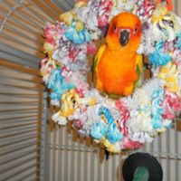 Katie Spencer Photo 11 Katie Spencer Photo 11