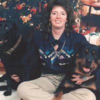 Ann Mccool Photo 7