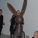 Jennifer Koons Photo 23