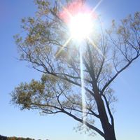 Edward Chu Photo 12 Edward Chu Photo 12