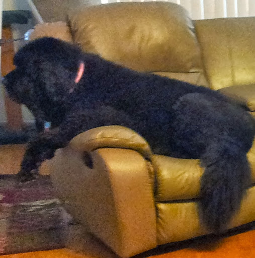 Benjamin Harris Photo 46 Benjamin Harris Photo 46