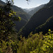 Steven Moniz Photo 24