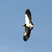 Reynaldo Rios Photo 18