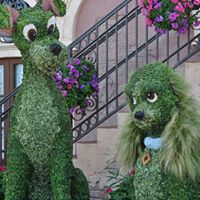 Linda Carpenter Photo 48